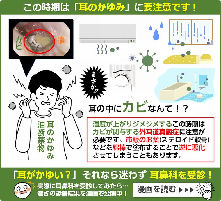 この時期は「耳のかゆみ」に要注意です！